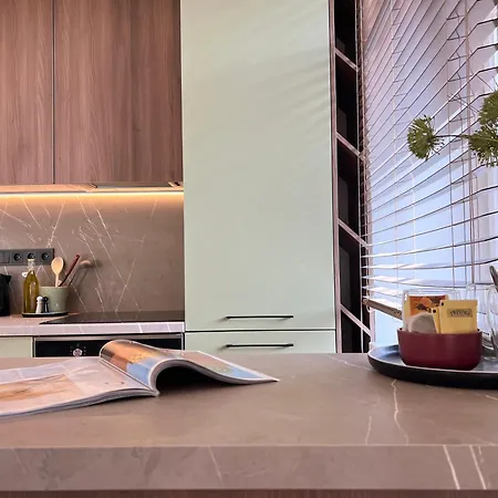 Διαμέρισμα City Central Apartment Βίλνιους