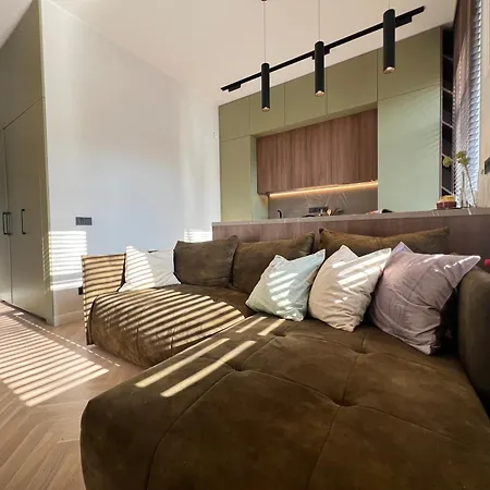 City Central Apartment 公寓 维尔纽斯